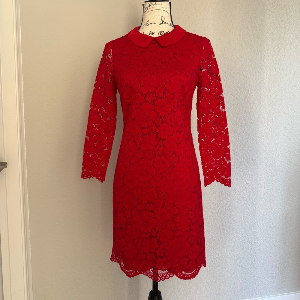 Red Lace Peter Pan Collar Dress Ted Baker
